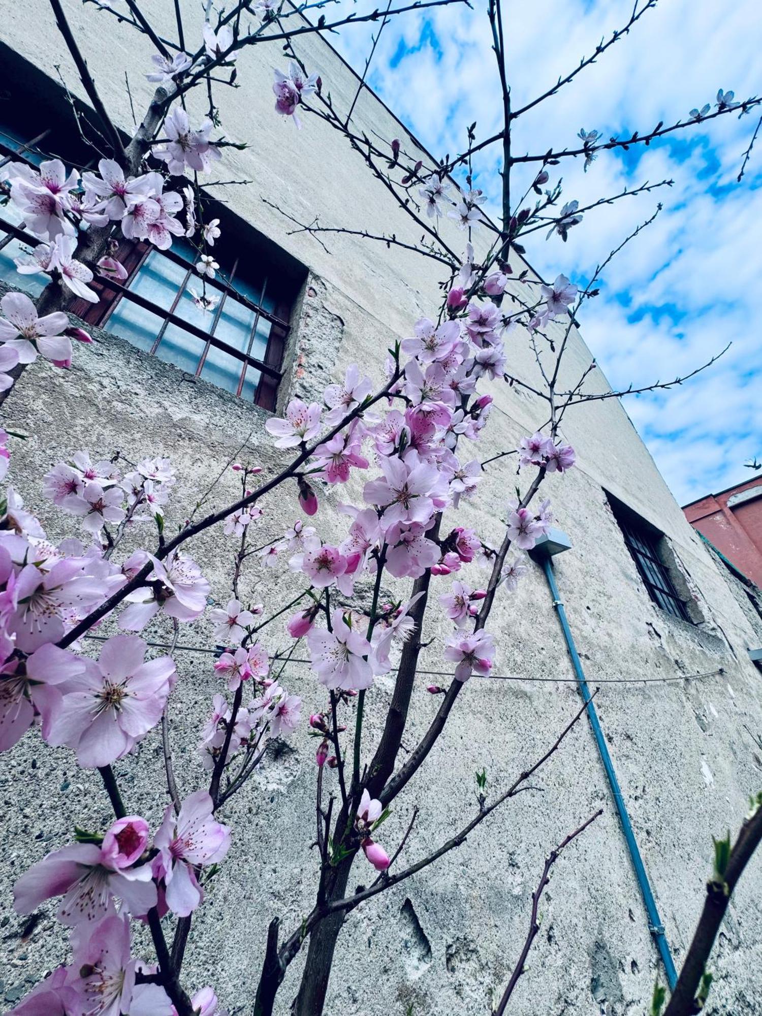 B&B Corte Sul Naviglio Cin I T 0 1 5 0 7 0 C 1 3 X U I L Q C V Cernusco Sul Naviglio Dış mekan fotoğraf